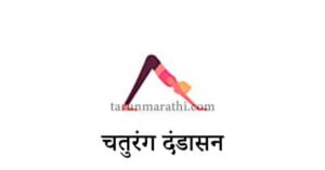 सूर्य नमस्कार योग इमेज