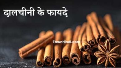 दालचीनी के फायदे hindi