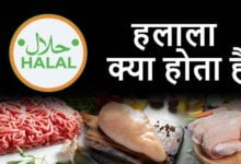 halal-kya-hota-hai-hindi