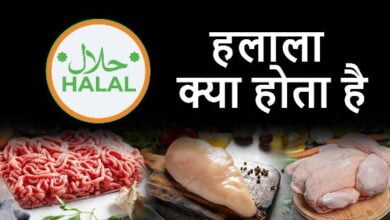 halal-kya-hota-hai-hindi